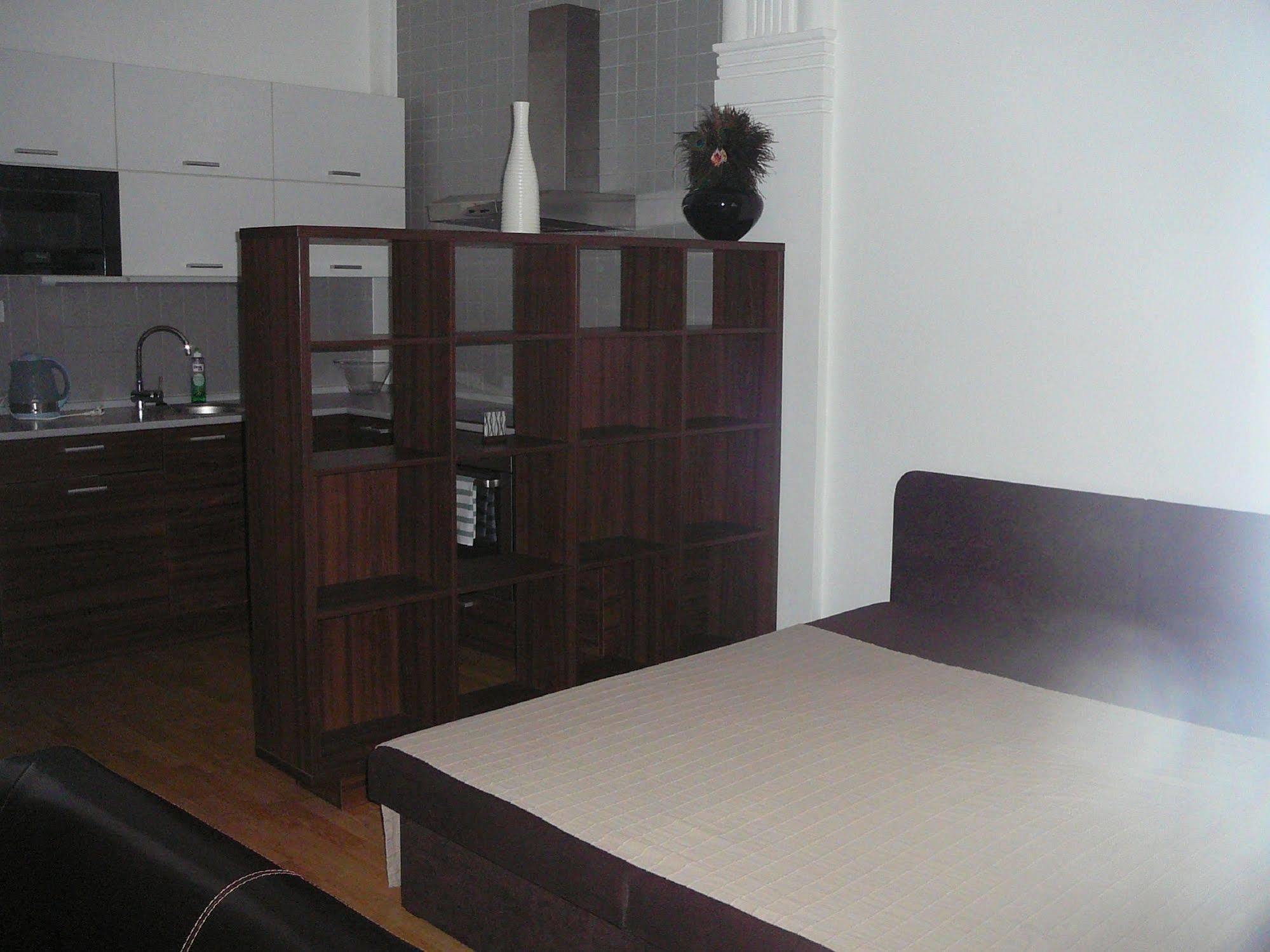Lion Apartments Medena, Big Size, High Ceilings Pozsony Kültér fotó